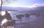 LAGO SANABRIA