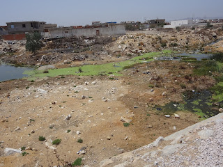 La Somatra accussé de pollution de la nature en Tunisie