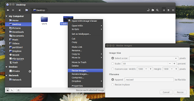 Nemo Image Converter