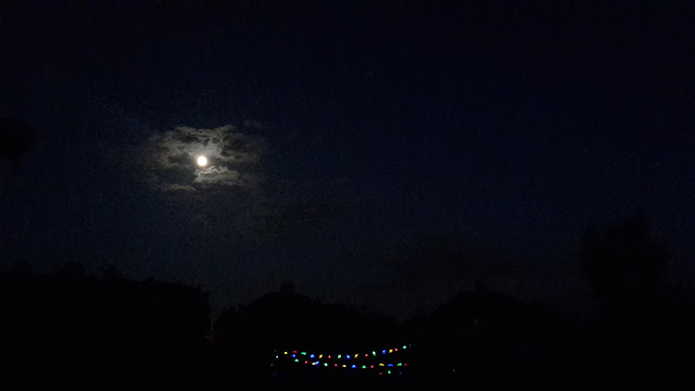 Project 365 2015 day 268 - Evening run by moonlight // 76sunflowers