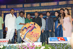 Rabhasa audio release function photos-thumbnail-97