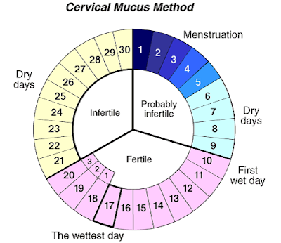  ovulation calendar in tamil 