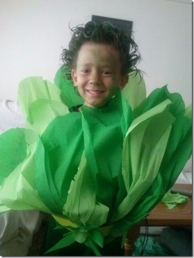 disfraz de lechuga