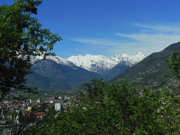 DSCN0771