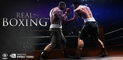 Real Boxing™ v1.0