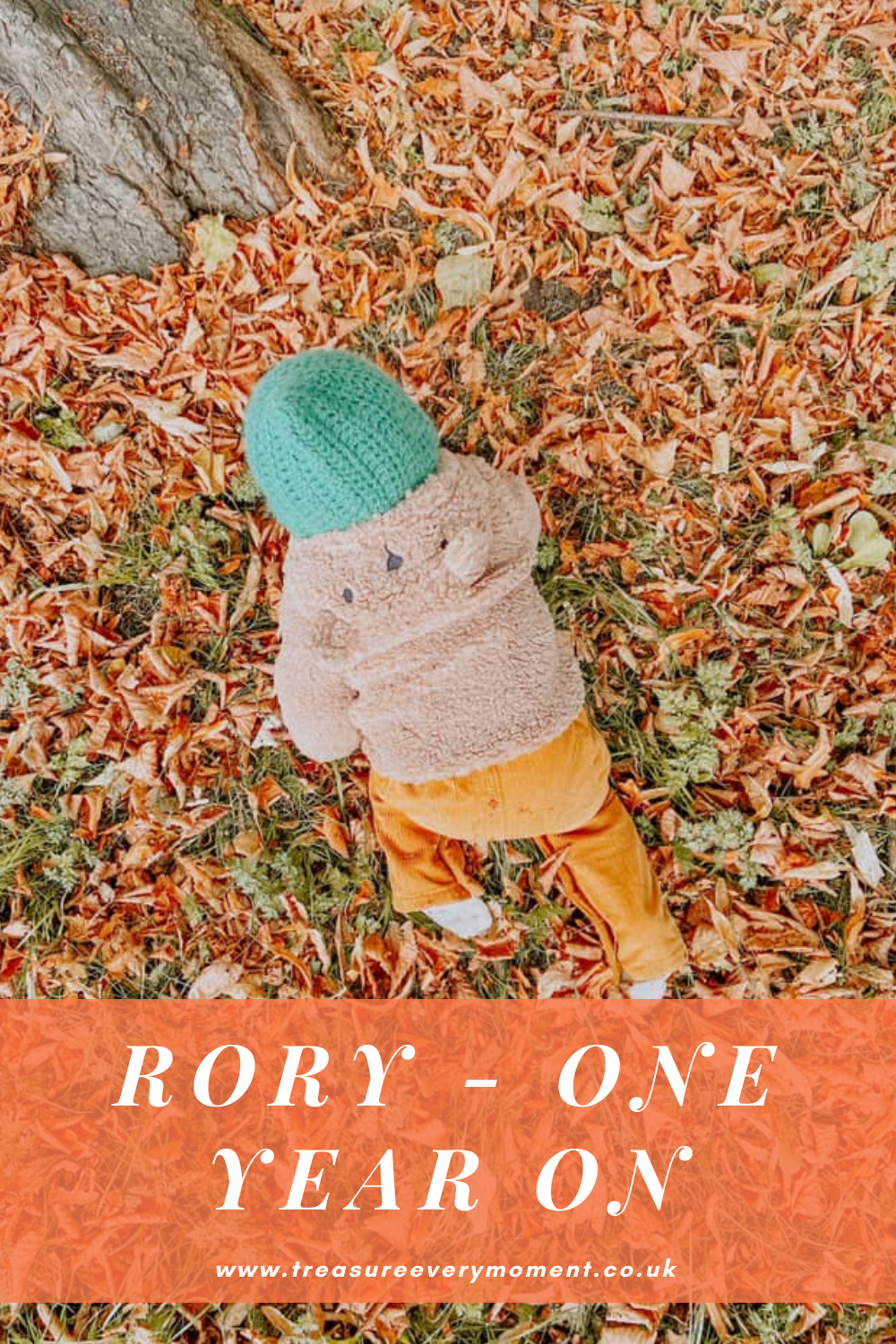 Rory - One Year On