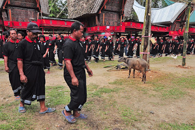 Upacara Rambu Solo di Kete' Kesu Tana Toraja