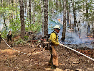 Firefighters at the Dixon Fire. Aug. 16, 2024. Photo from InciWeb.