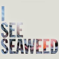 The Top 50 Albums of 2013: 03. The Drones - I See Seaweed