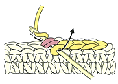 引抜編みの編み方, how to crochet a slip stitch, 滑针的钩法,