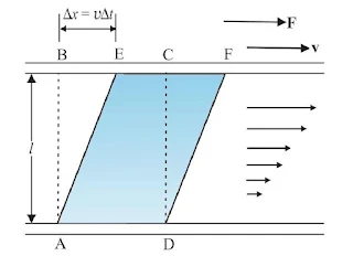 Mechanical Properties of Fluids Class 11 Physics Notes