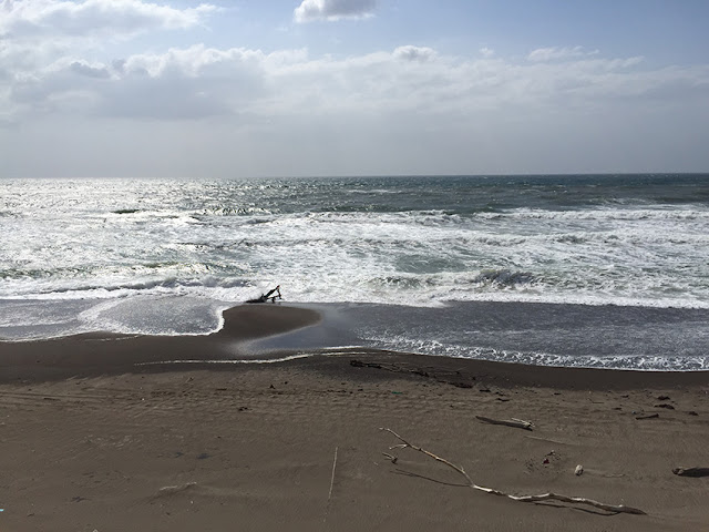 石拾い　海　青森県七里長浜