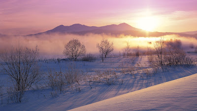 Paisaje nevado en Hokkaido, Japón durante el invierno