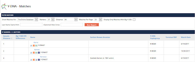 Y-DNA match list