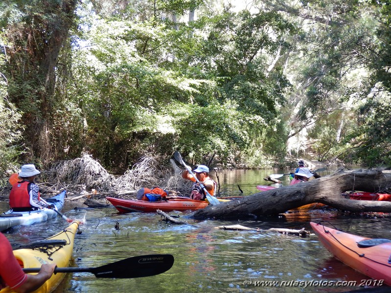 Kayak río Palmones