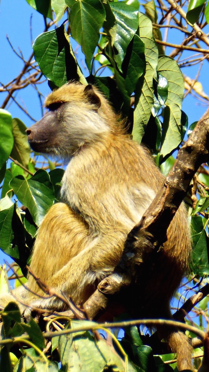 P1040036