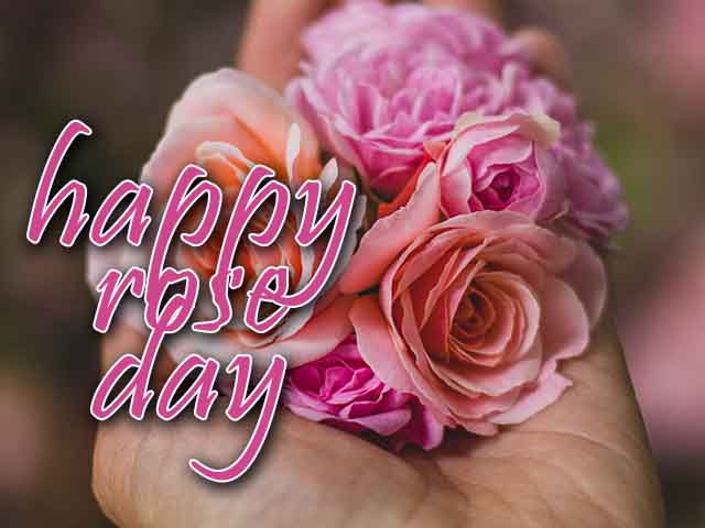 Happy Rose Day 2022 Images, Wallpapers, Pics & Photos