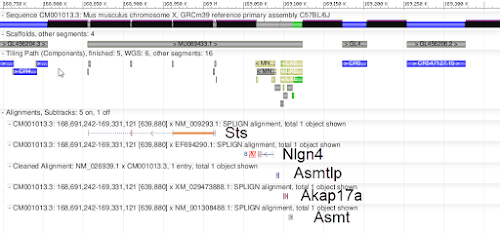 GRCm39 chromosome X