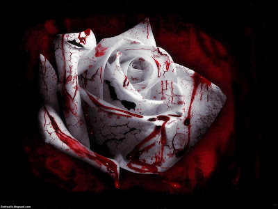 gothic-white-blood-rose-wwallpaper