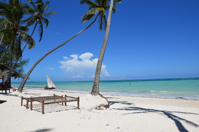 Dream of Zanzibar - Plaża - Przypływ / Beach - High Tide