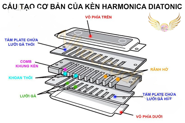 Cấu tạo và Âm Thanh