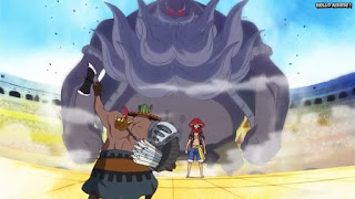 ワンピースアニメ ドレスローザ編 646話 チンジャオ | ONE PIECE Episode 646