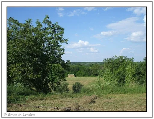 Novi Sad countryside