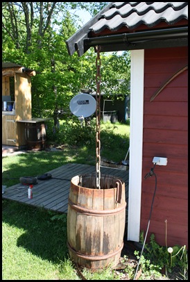 Trädgård (5)