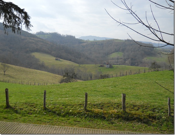 DSCN1724