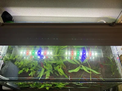 クエン酸パックしたガラス蓋