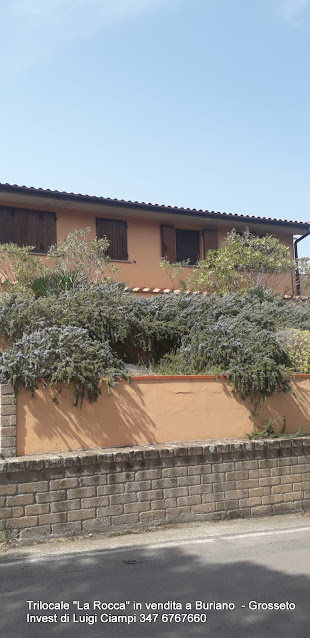 facciata - TRILOCALE CON TERRAZZA PANORAMICA IN VENDITA A BURIANO di Castiglione della Pescaia - Grosseto Invest Immobiliare
