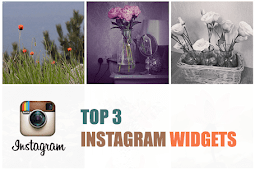 Which Hashtag Instagram Widget Should You Choose?