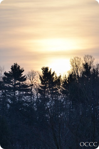 winter scene (1 of 1)-80