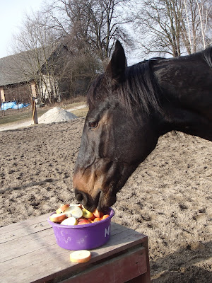 konie, urodziny konia, tort urodzinowy Latony