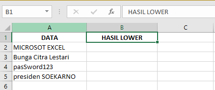 Cara Memasukkan Fungsi LOWER pada Microsoft Excel