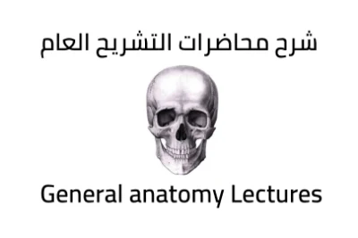 شرح محاضرات مادة التشريح للكليات الطبية - Anatomy lectures