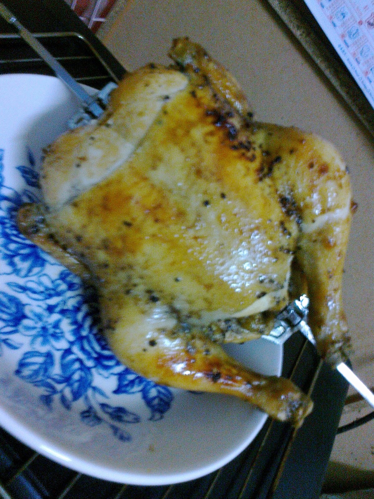 ~Nor Nora~: Resepi Ayam Untuk Diet