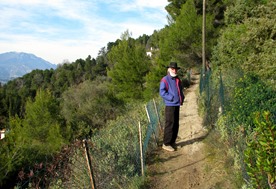 A woodsy walk 03
