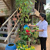 Traditional Gardening Methods