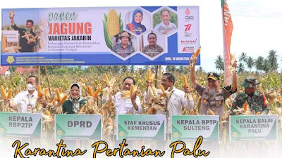 Gubernur Sulawesi Tengah Kecewa Panen Jagung BPTP Tak Undang Pemda