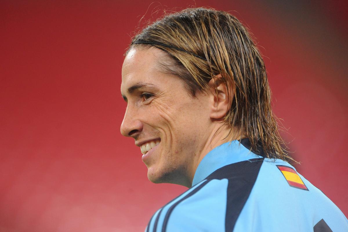 fernando torres spain