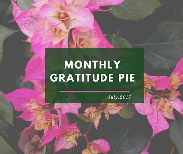 Monthly Gratitude Pie