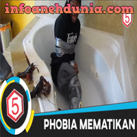 http://www.infoanehdunia.com/2017/07/5-phobia-paling-mematikan-di-dunia.html