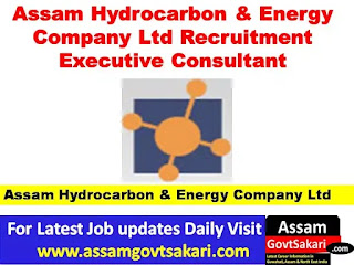 Assam Hydrocarbon & Energy Company Ltd Recruitment 2019-Executive Consultant