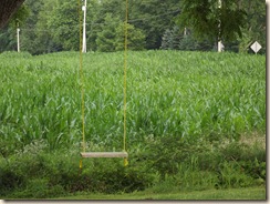 DSCF1470