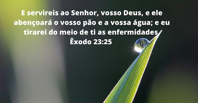 14 Versículos da Bíblia sobre Doença
