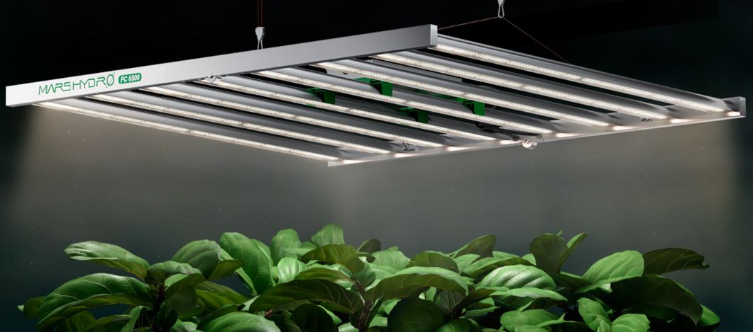 Role of LED Grow Lights and Grow Tents in Hydroponic Farming
