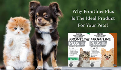 Why Frontline Plus Is The Ideal Product For Your Pets?