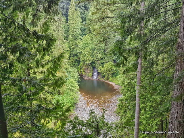 Capilano_Suspension_Bridge_Park_Vancouver_Canada