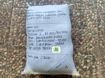 Benih Padi Pesanan   PAKIHUDIN Cirebon, Jabar.   (Setelah di Packing).